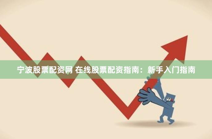 宁波股票配资网 在线股票配资指南：新手入门指南