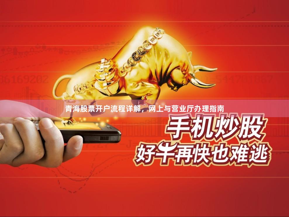 青海股票开户流程详解，网上与营业厅办理指南