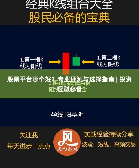 股票平台哪个好？专业评测与选择指南 | 投资理财必备