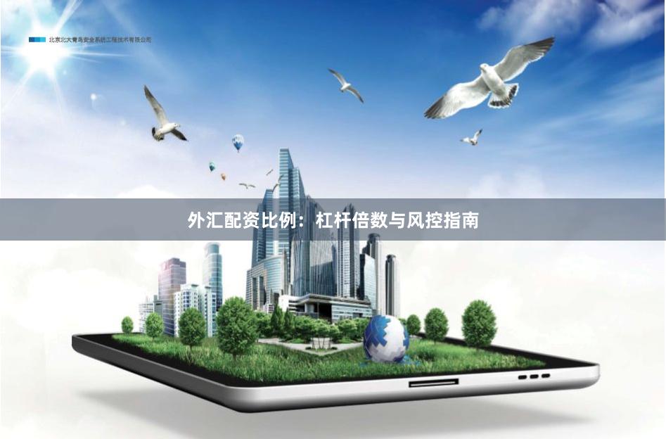 外汇配资比例：杠杆倍数与风控指南